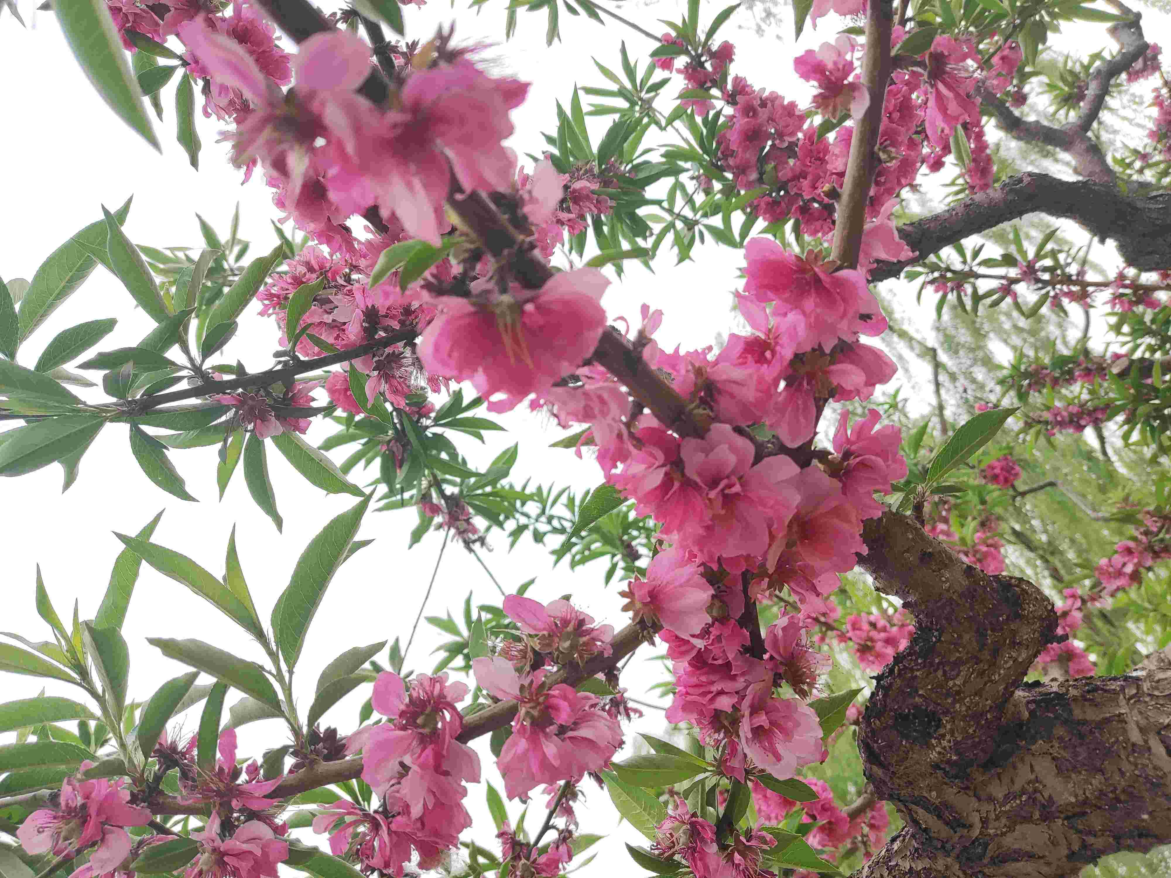 潘家园的旧货市场