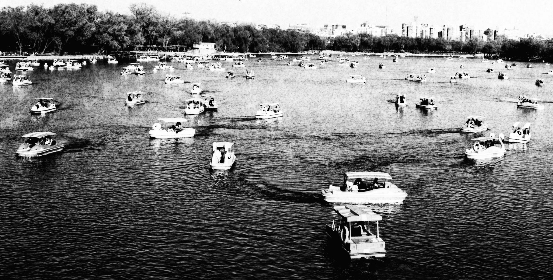 玉渊潭公园游记